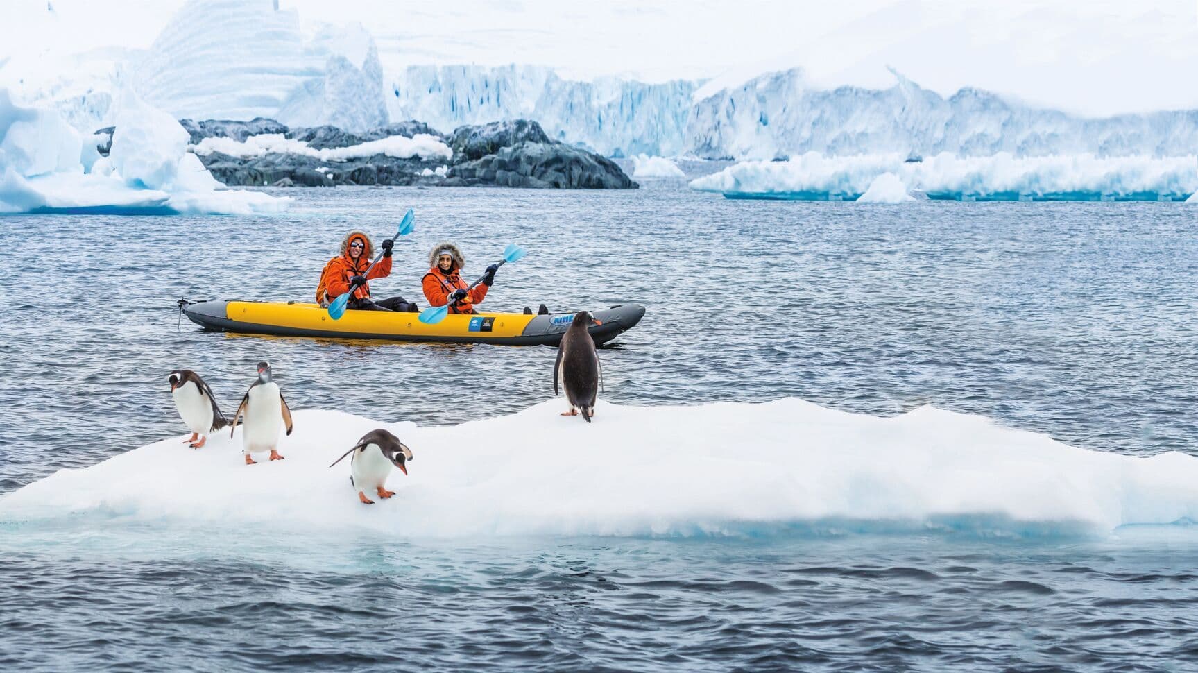 Antarctica Kayaking RLH.jpg