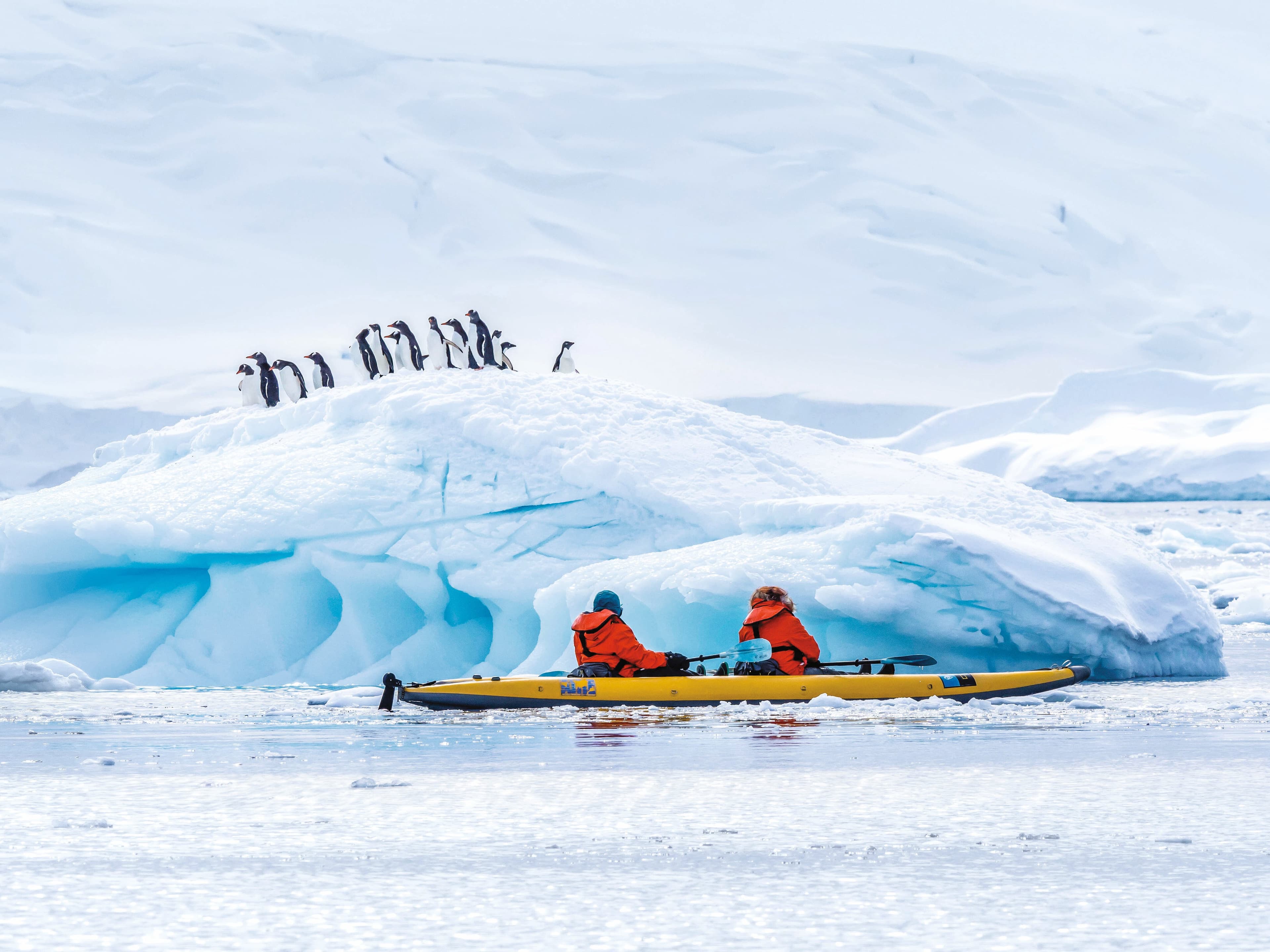 Hero Image Large RGB-LEX-Antarctica Lindblad Cove AA802.jpg