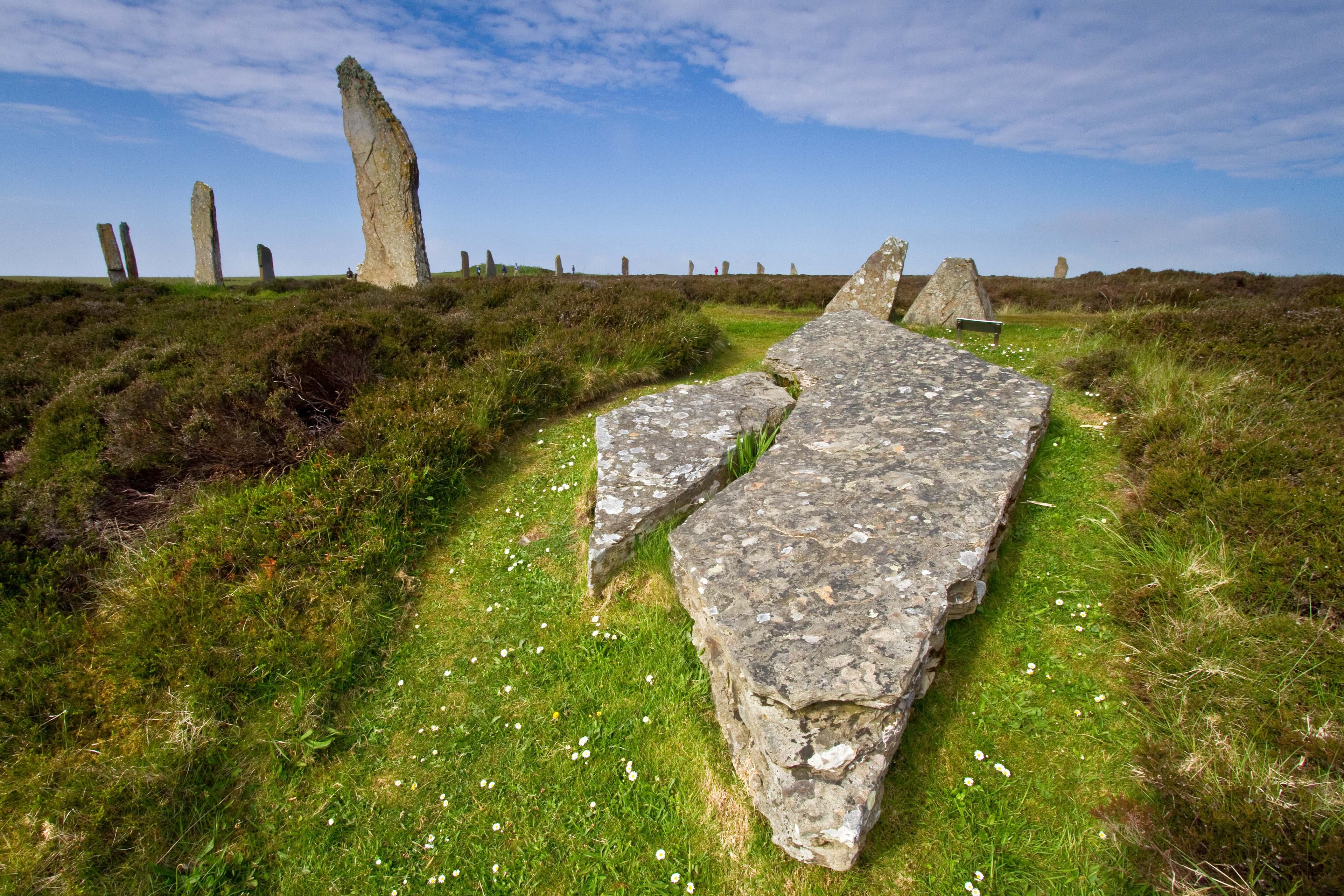 Scotland Orkney Islands BOS-0510-026