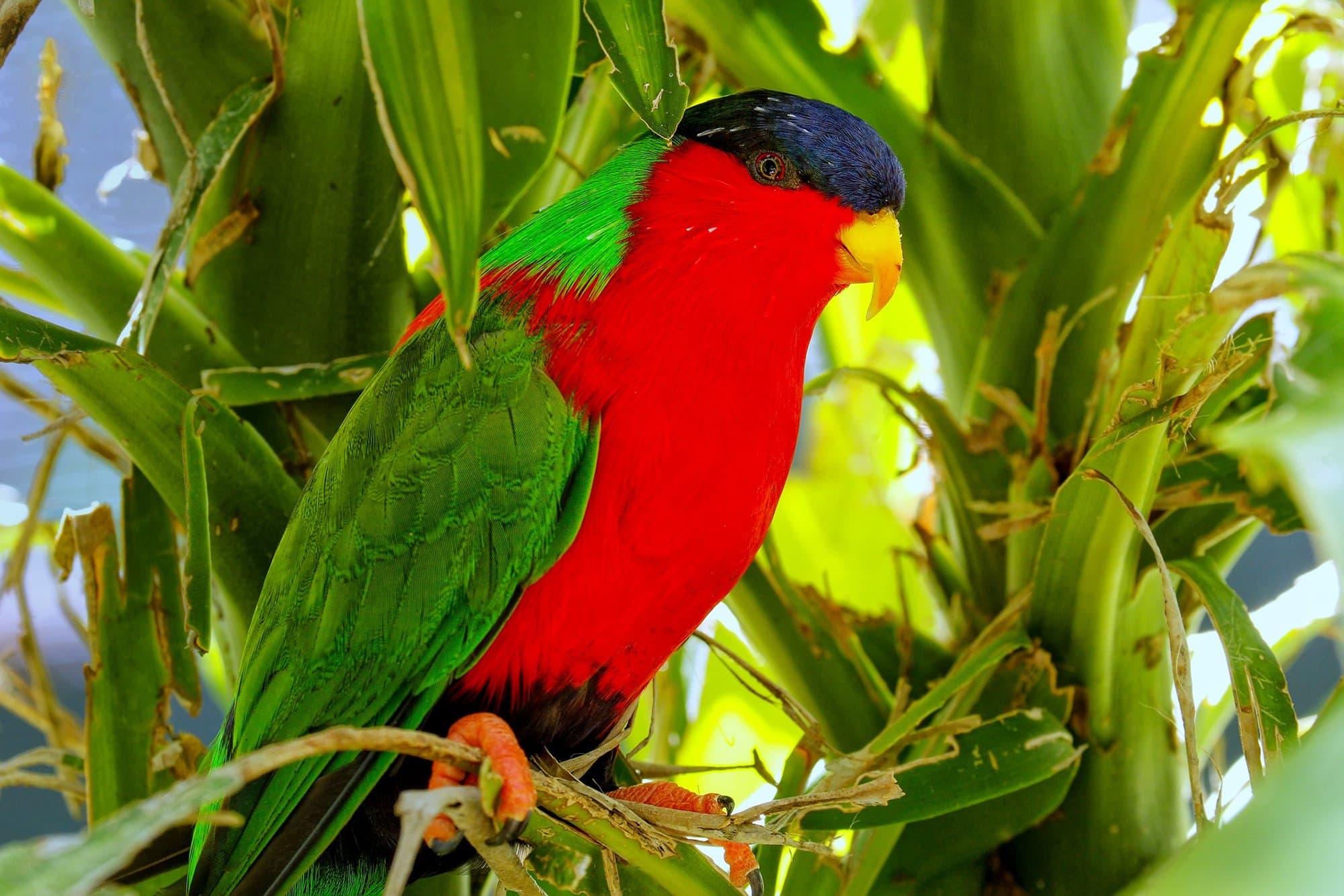 iStock-692406440.jpg
