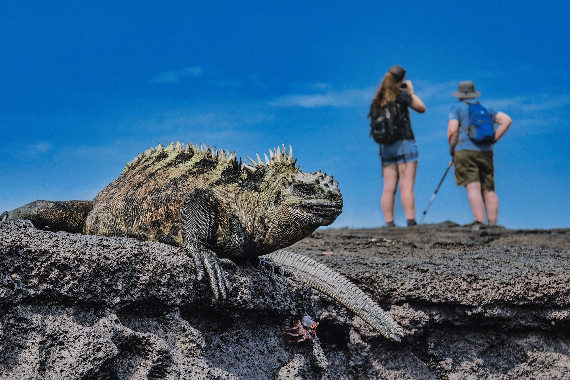 Hero Image Large RGB-LEX-Ecuador Galapagos Islands Fernandina Island DV-EC22-1609.jpg